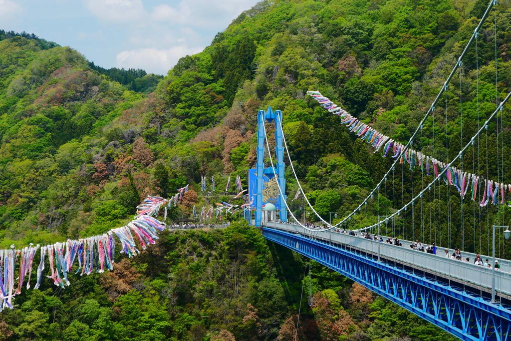 竜神峡鯉のぼり