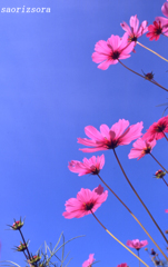 空へ