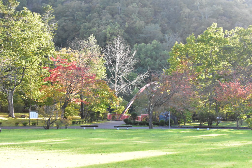 公園
