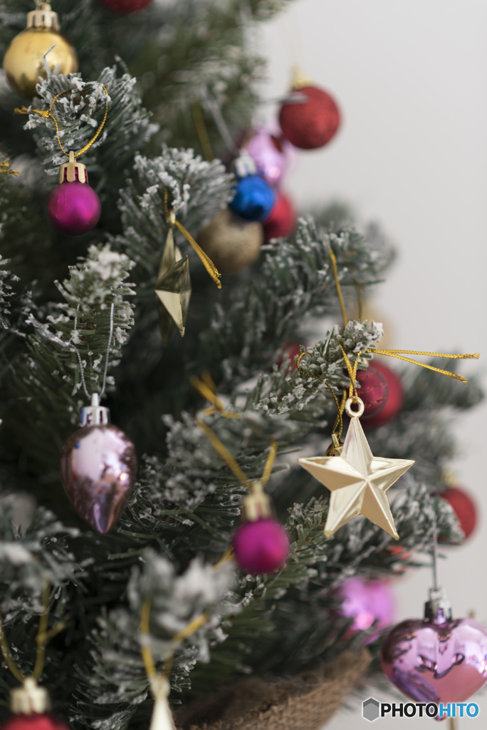 クリスマスツリー