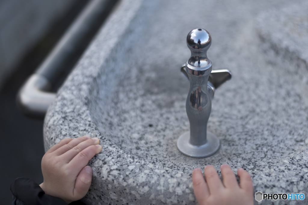 水辺に到着