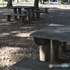 朝の公園2
