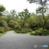 蓬來園の緑