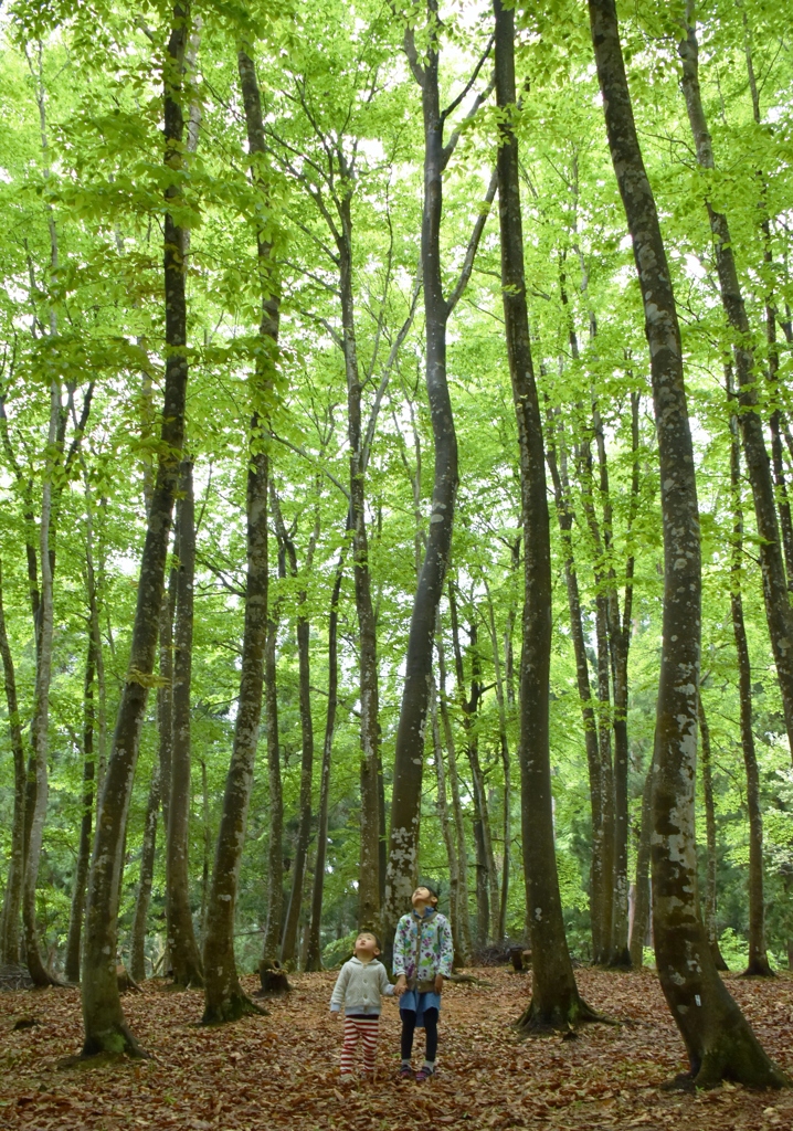 美人林と小人