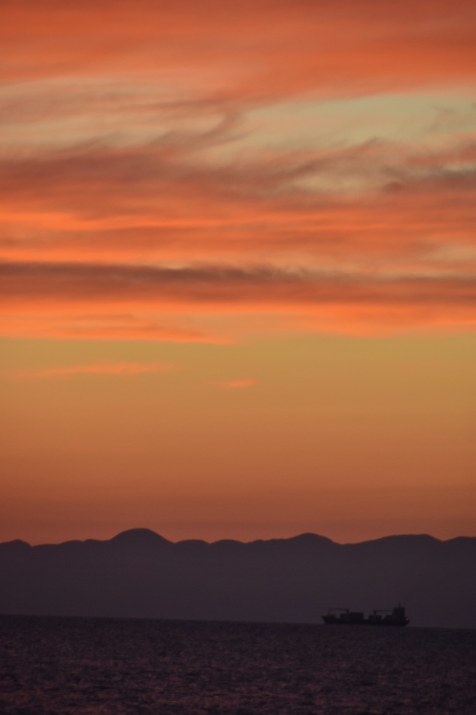 夕日