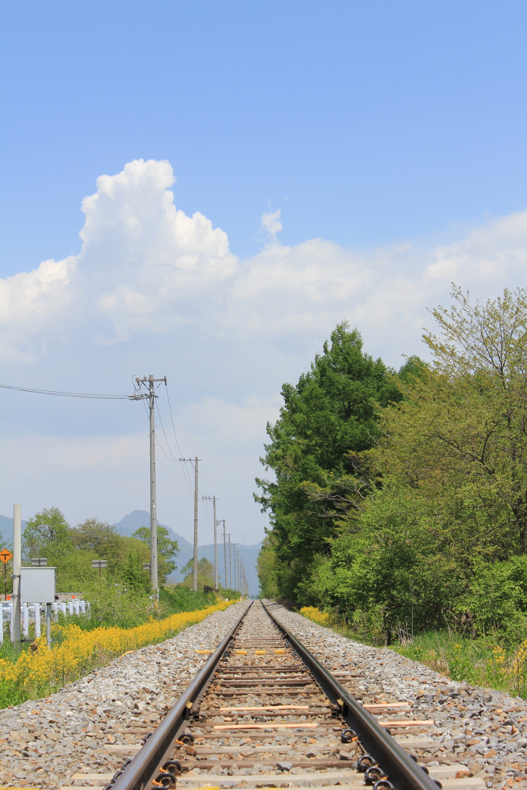 夏の線路