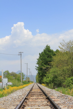夏の線路