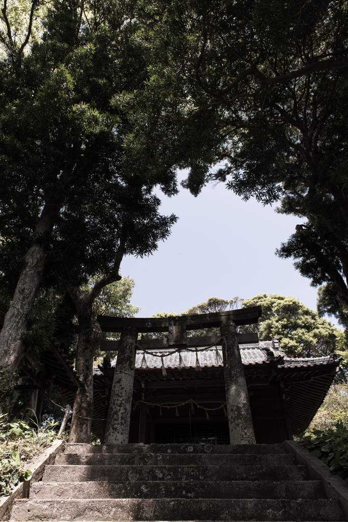 杜の中の神社