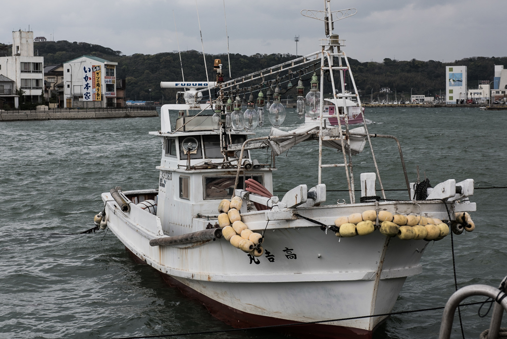 呼子のイカ釣り漁船