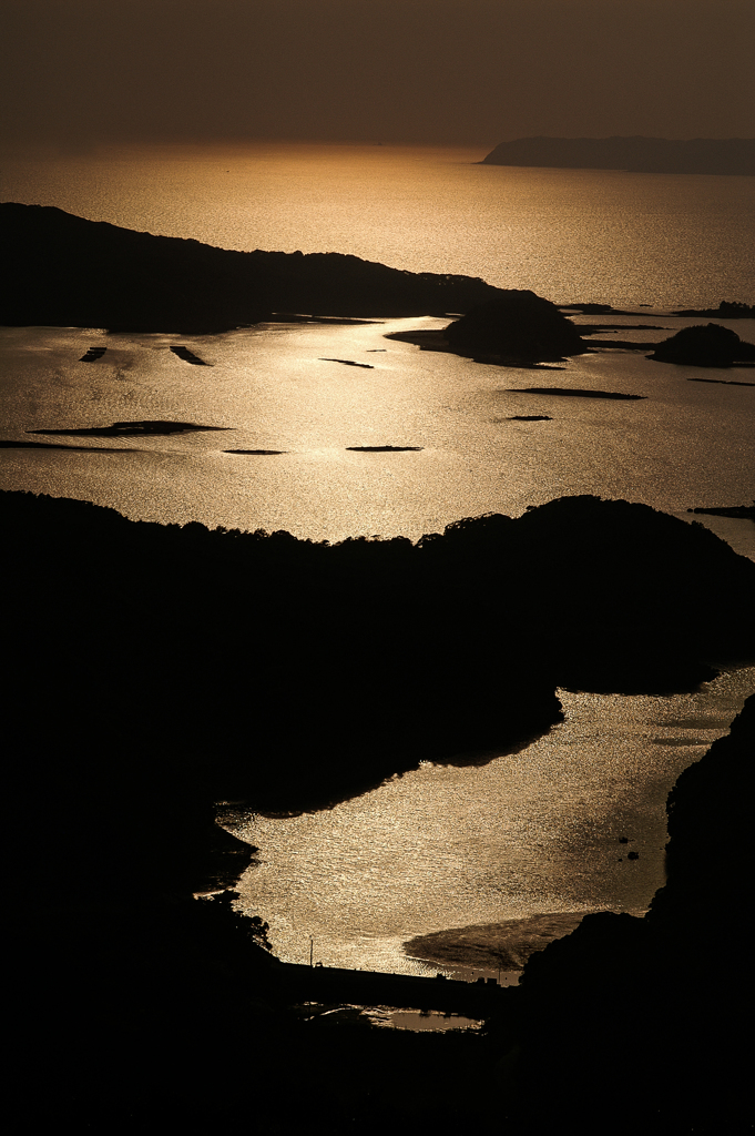 金色の海