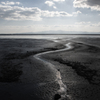 Natural Monotone