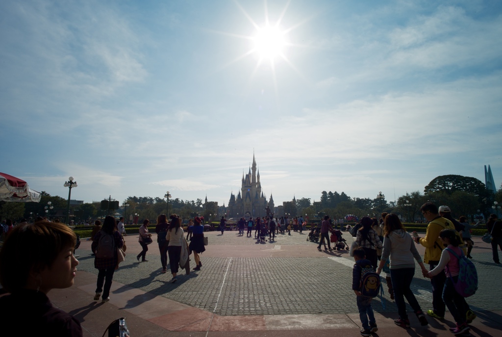TDL