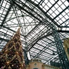 クリスマスTDL