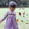 落ち葉のシャワー♪