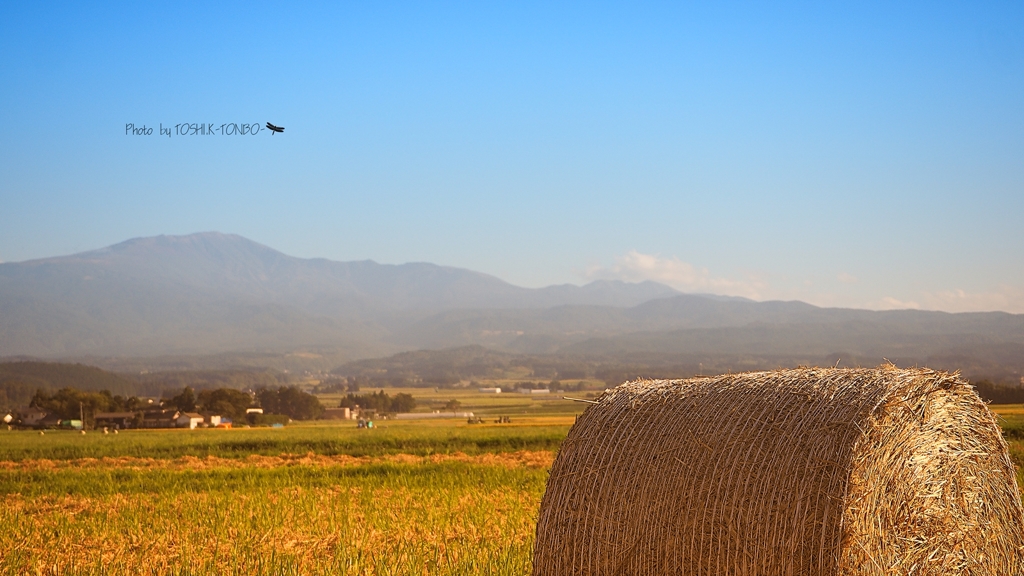 秋の庄内平野から霊峰月山を望む