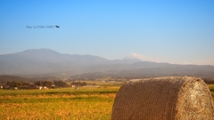 秋の庄内平野から霊峰月山を望む