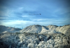バスの車窓から見た笹谷峠の雪景色