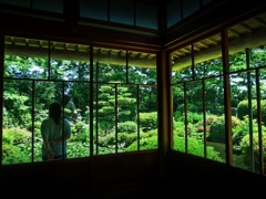 日本庭園を見つめる人