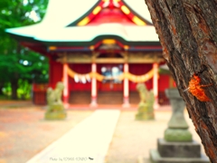 夏の神社で