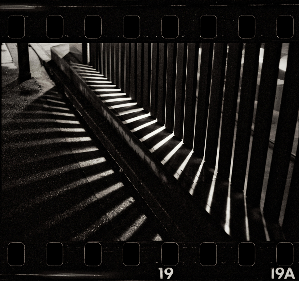 light and shadow