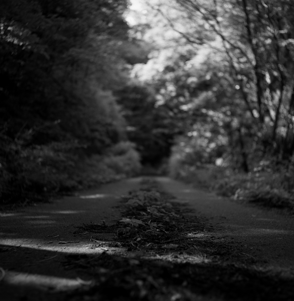 quiet road
