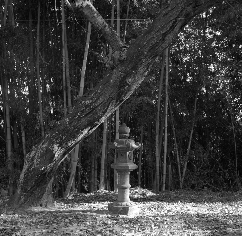 神社にて
