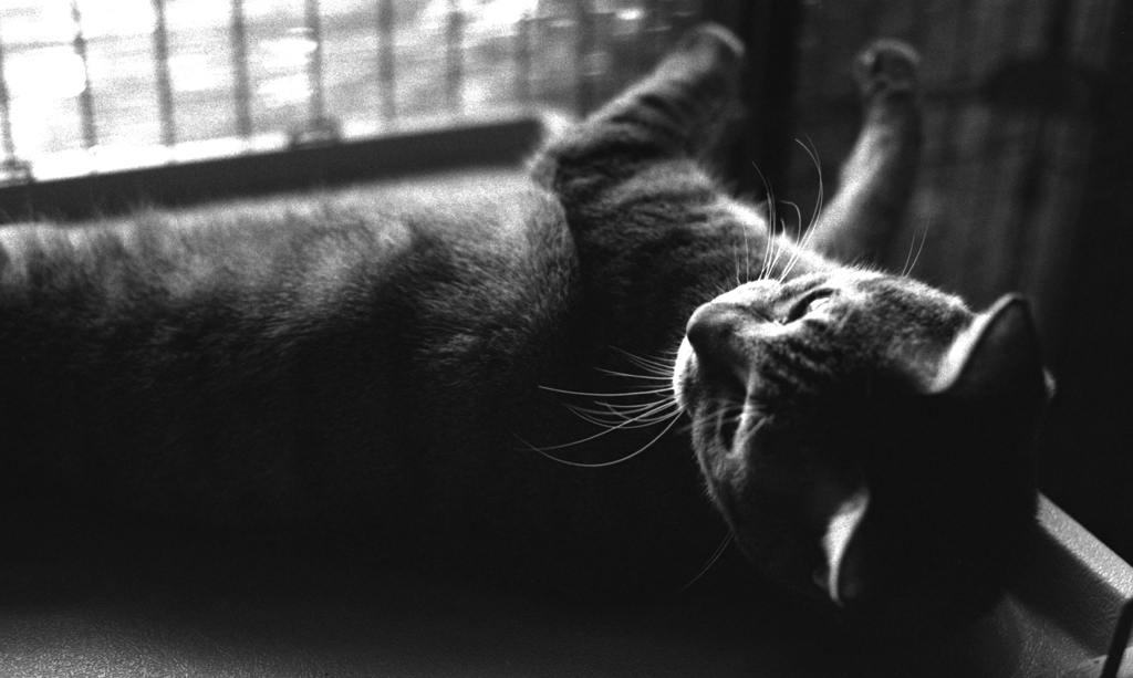 roll over