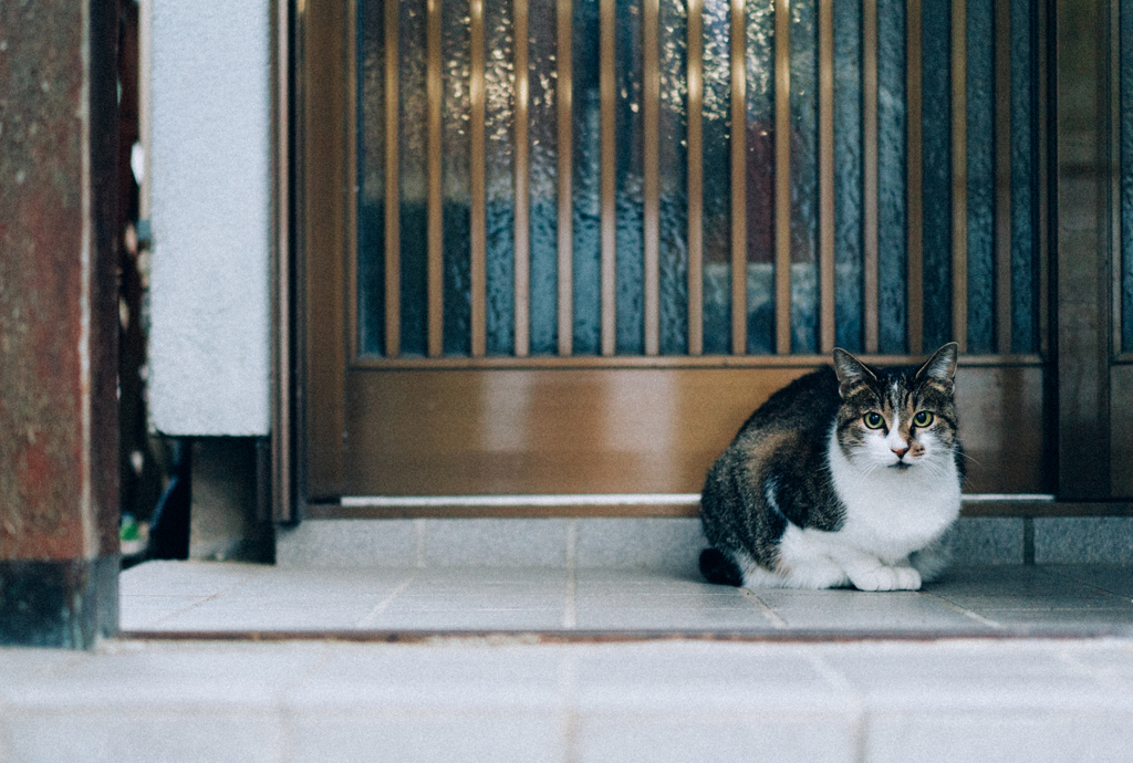 ご近所さん　フィルム風