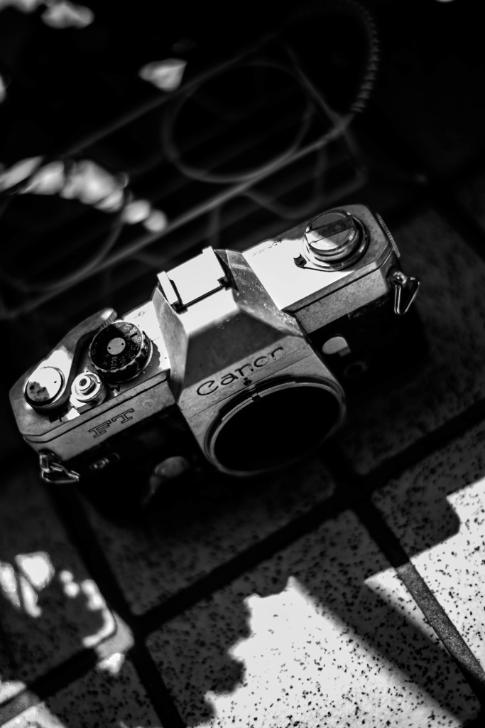 Canon