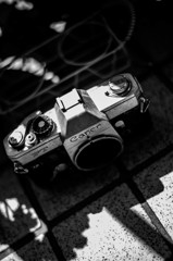 Canon