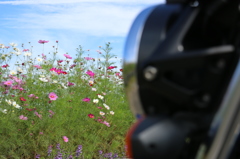 いつもの公園にて