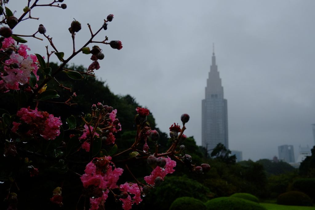 。
