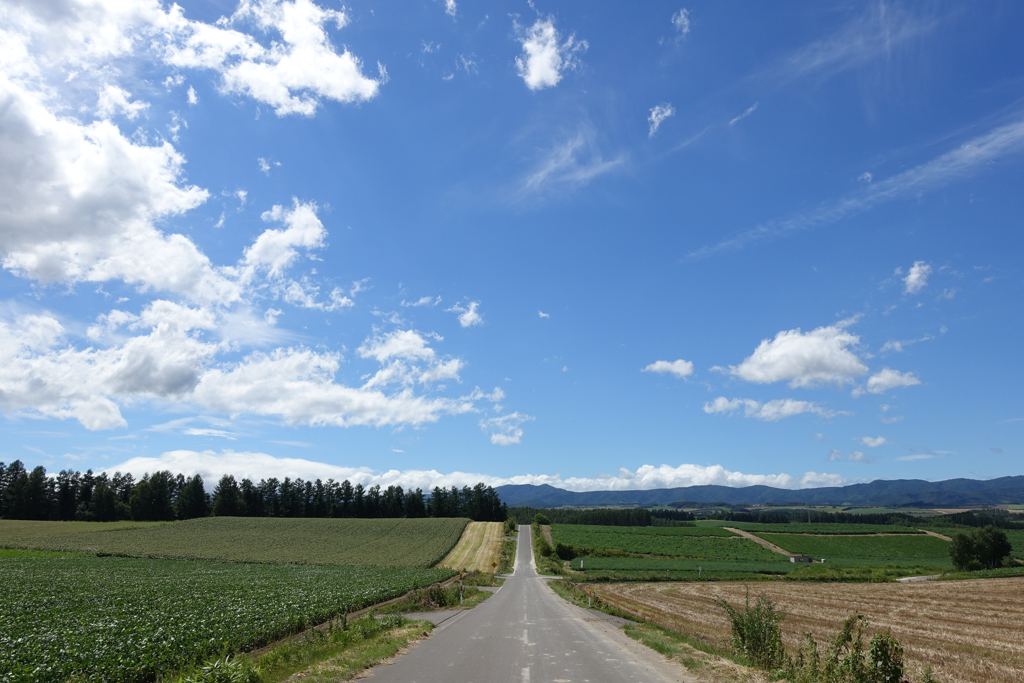 青空と丘と道