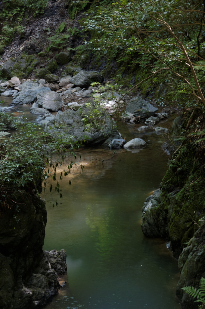 箕面