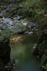 箕面
