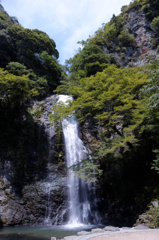 箕面の滝１