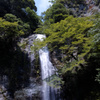 箕面の滝１