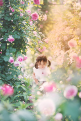 バラの子