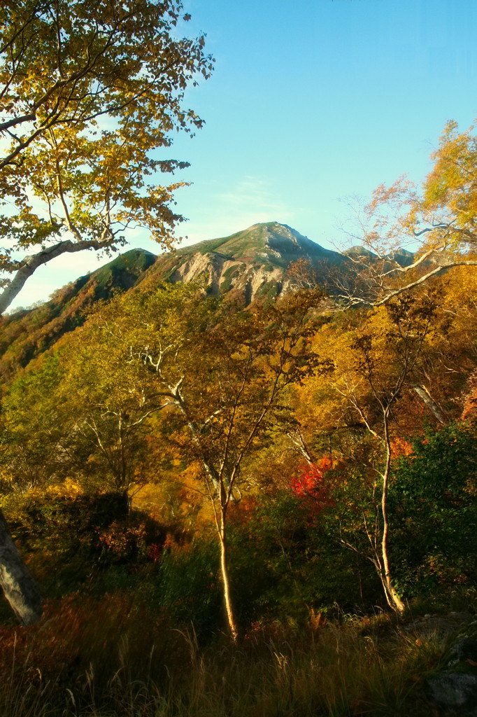 黄山