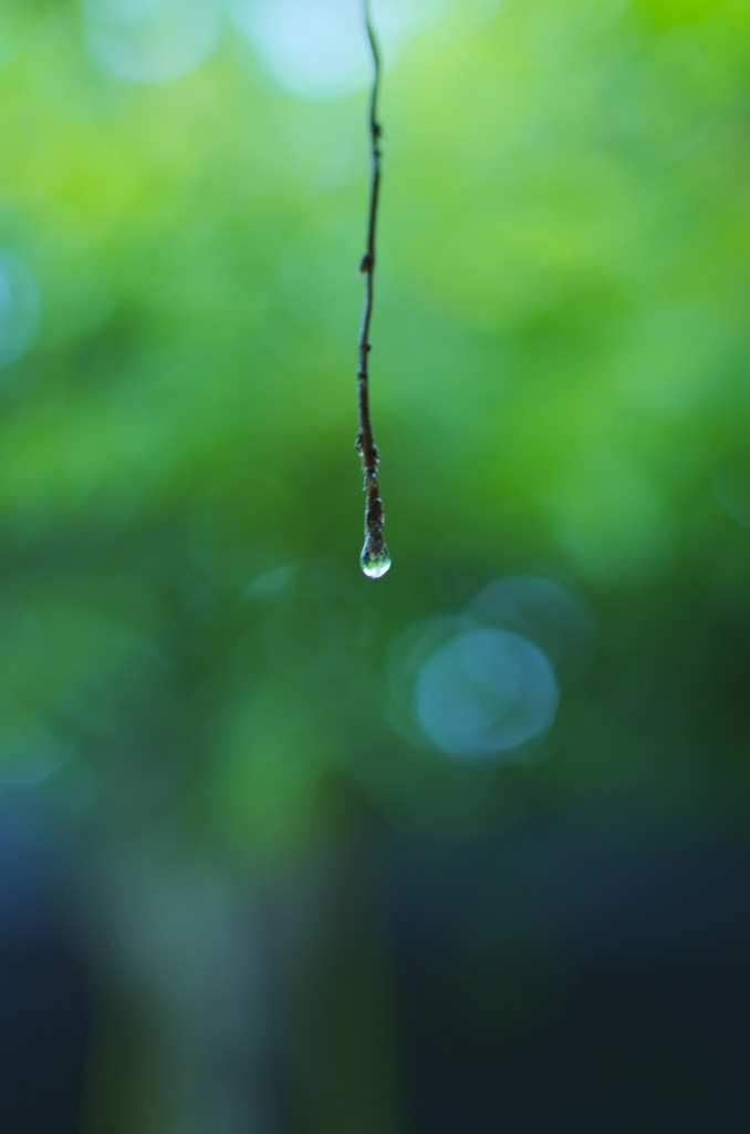 水垂