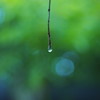 水垂