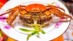 上海カニ