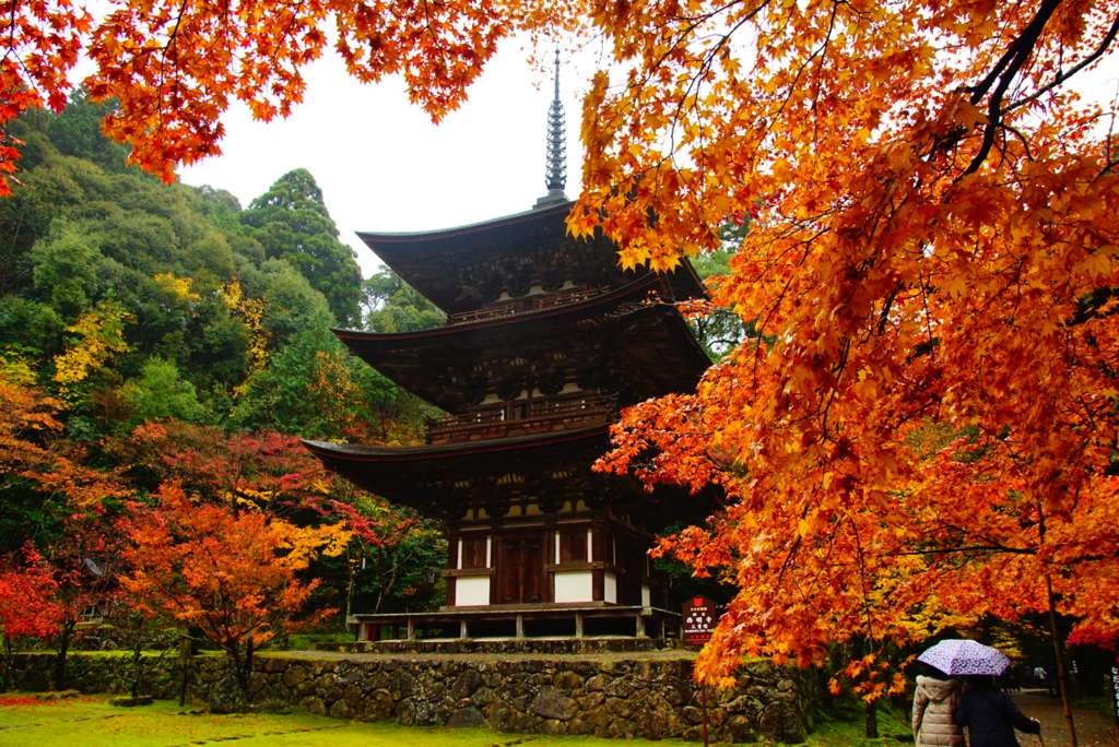 湖東三山西明寺