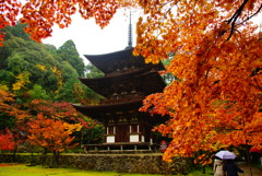 湖東三山西明寺