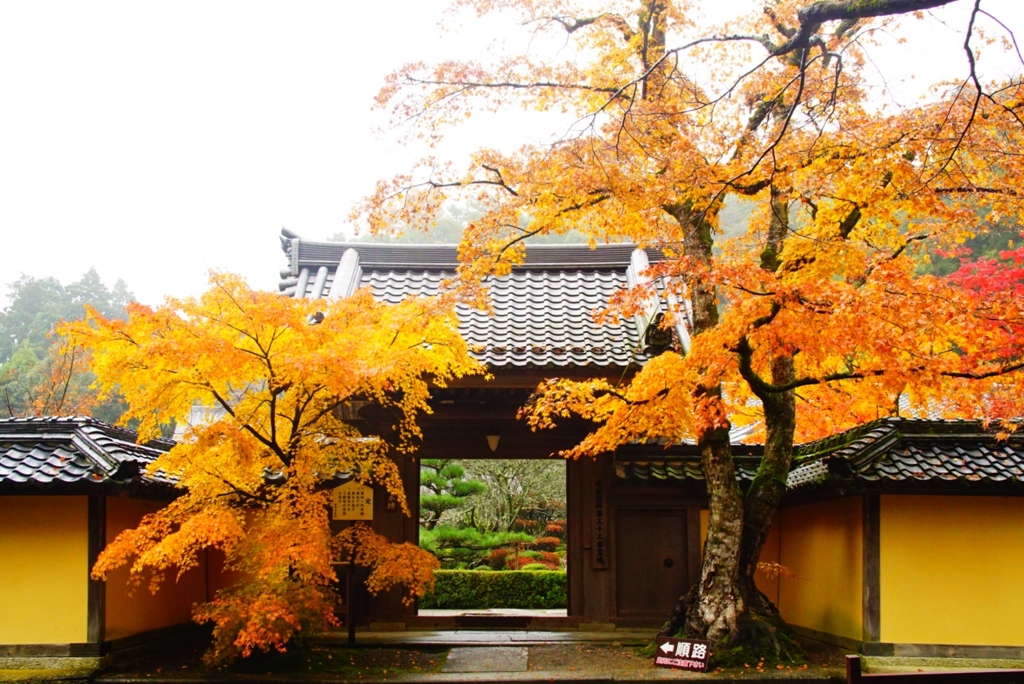 湖東三山西明寺