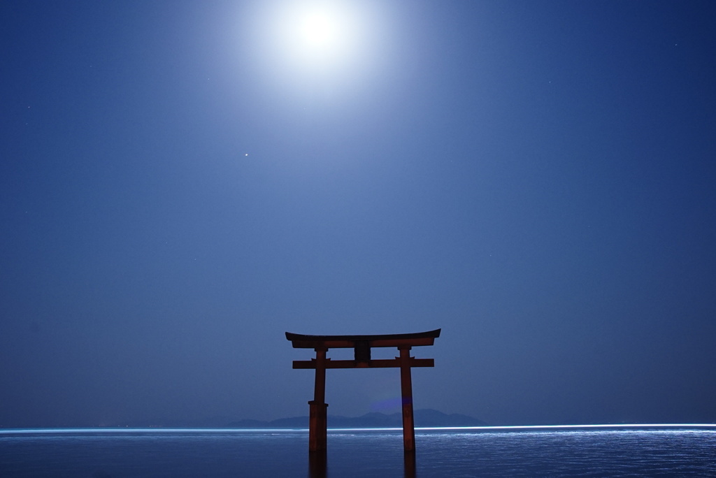 月夜の白鬚神社