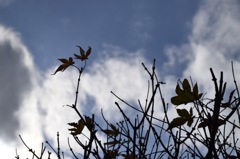 一時の青空