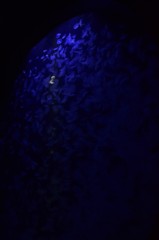 一光