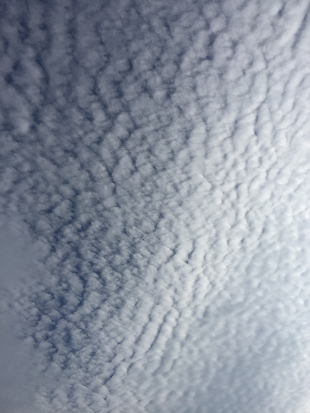 雲の毛布布団？