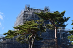 2016年1月1日初詣に小田原城（報徳二宮神社）へ